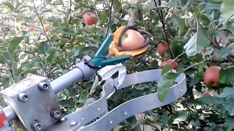 Automatic fruit picker demonstration by FF Robotics : IFTA 2017 - YouTube