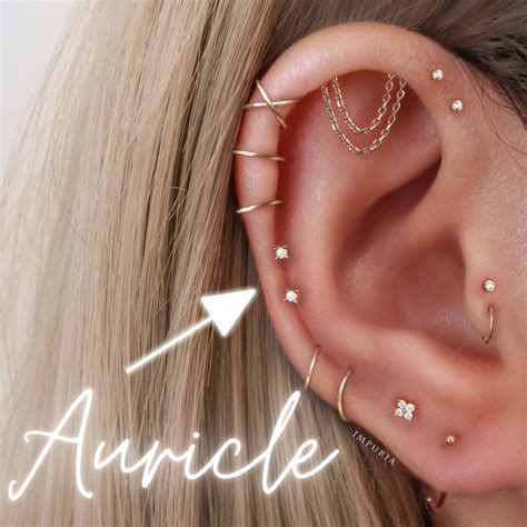 Auricle Earrings | Cartilage Studs & Hoops | Impuria Piercing Jewelry