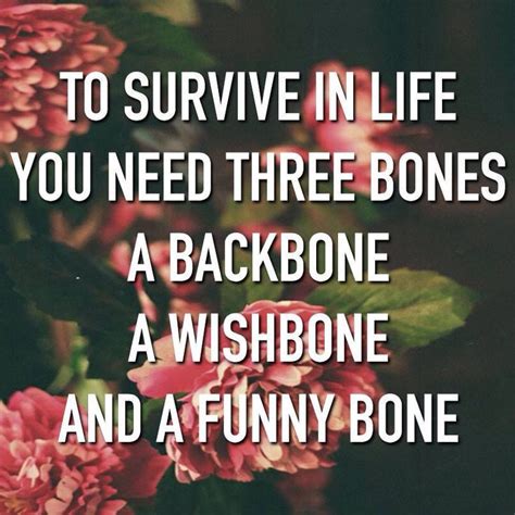 3 bones in life | Happy quotes, Bones funny, Inspirational quotes