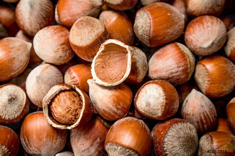 The texture of the hazelnut in shell - stock photo 2862918 | Crushpixel