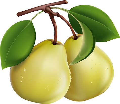 Free download Pears wallpaper 541980 [1920x1200] for your Desktop, Mobile & Tablet | Explore 66 ...