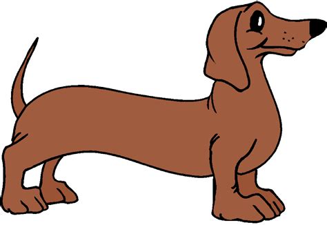 Cartoon Dachshund Dog Drawing : Cartoon Dachshund (smooth Coat) Poster | Bodaswasuas