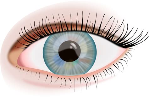 Eyeball Png