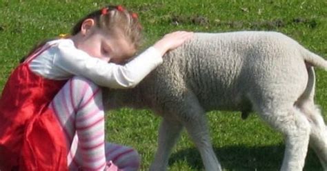 Too Much Crap: 16 Cute Kids And Animal = A Winning Combination Of Cute