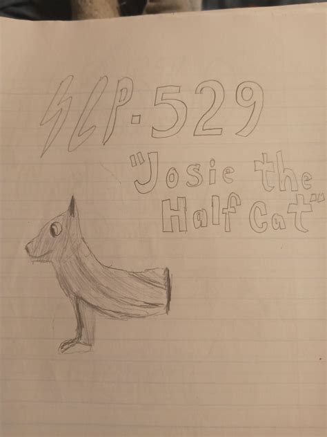 SCP-529 Josie the Half Cat by ScruffyManMonkeyMan on DeviantArt