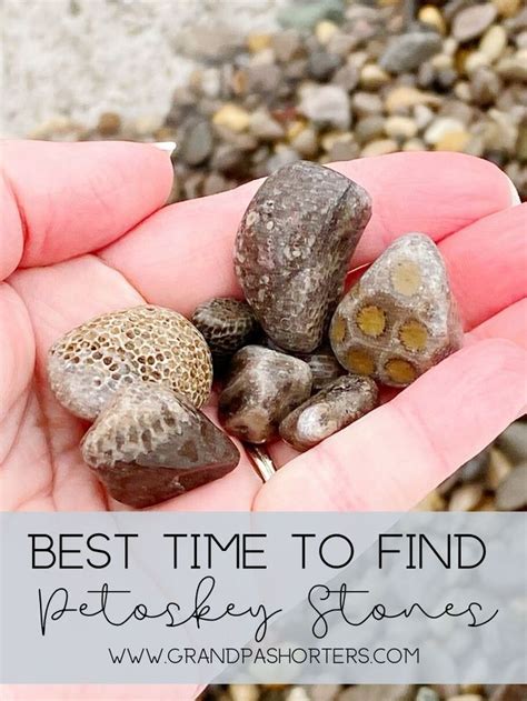 When is the Best Time to Find Petoskey Stones? - Grandpa Shorter's Gifts | Petoskey stone, Lake ...