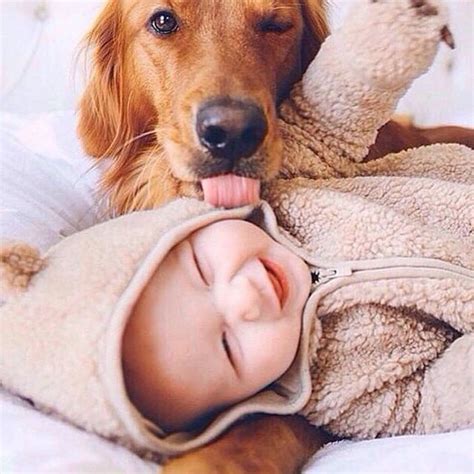 baby smile with dog so cute. #babysmile #dog #peace | Pets, Cute babies, Cute animals