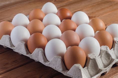 White Chicken Eggs