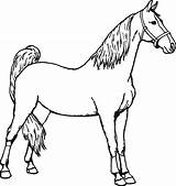 Free Printable Horse Coloring Pages At GetColoringscom  sketch template