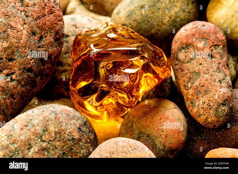 Amber on a beach of the Baltic Sea Stock Photo - Alamy