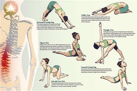 Yoga For Back Pain Relief : 8 Best Asanas and Postures