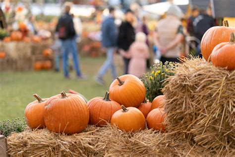 Long Island Fall Festival Guide For 2023