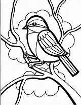 Bird Coloring Pages  Free Download On ClipArtMag sketch template