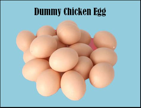 Plastic Dummy Chicken Eggs / Fake Eggs for Chicken / Pet Accessories / Gamefowl Accessories ...