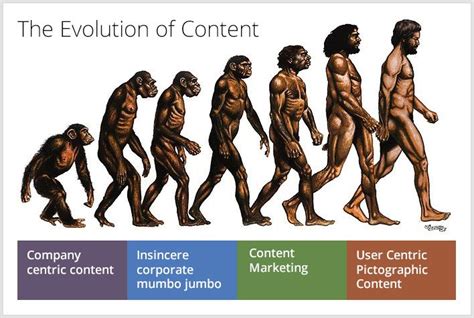 Content Marketing Paradigm Has Shifted. Have You? | Human evolution, Evolution art, Charles darwin