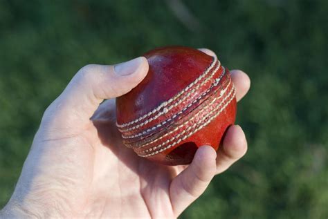 Free Stock Photo 4836 bowling a cricket game | freeimageslive