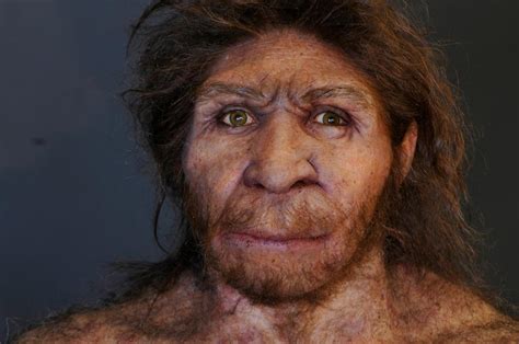 look at sciences | Homo heidelbergensis