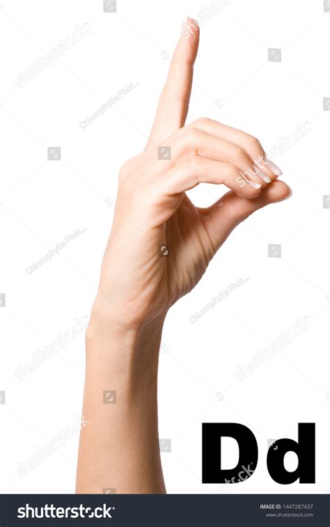 Letter D Sign Language Stock Photo 1447287437 | Shutterstock