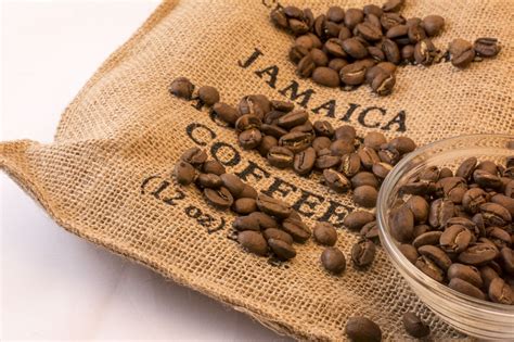 Jamaican Blue Mountain Style Coffee 100% Arabica Fresh Roasted Whole Coffee Beans in 2021 | Blue ...