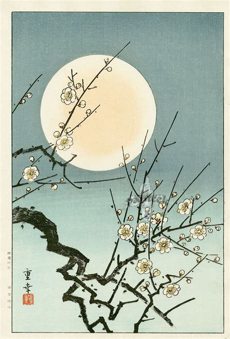 Shin Hanga Japanese Prints Japanese Artwork, Japanese Painting, Japanese Prints, Chinese ...