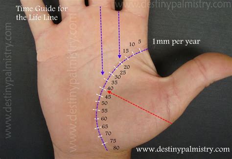 Life Line Timeline Guide in Palmistry - Destiny Palmistry | Palmistry, Line timeline, Palmistry ...