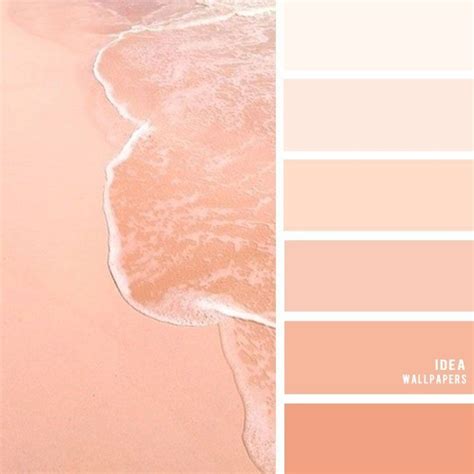 peach color palette - Google Search | Color palette pink, Orange color palettes, Peach color ...