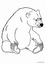 Colorir Coloriage Urso Fiori Ursos Printemps Fleur Fofos Ursinho  sketch template