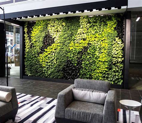 Office Plants Service & Living Walls | Botanical Designs