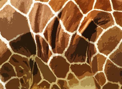 Giraffe Skin Pattern Background Free Stock Photo - Public Domain Pictures