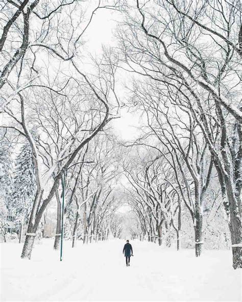 15 things to do in Winnipeg in winter | Go Eat Do