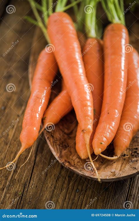 Farm fresh spring carrot stock photo. Image of closeup - 69724508