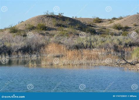 Lake Havasu National Wildlife Refuge on the Colorado River in Mohave ...