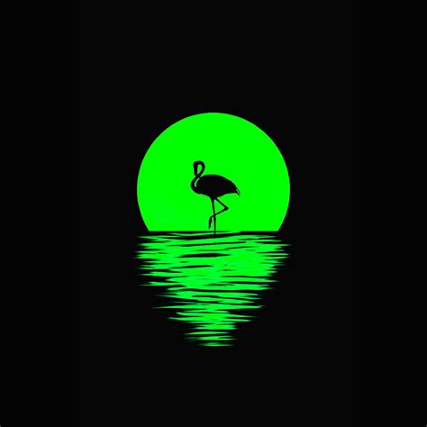 1920x1080px, 1080P free download | Flamingo Green, beach, bird, moon, ocean, sunset, water, HD ...