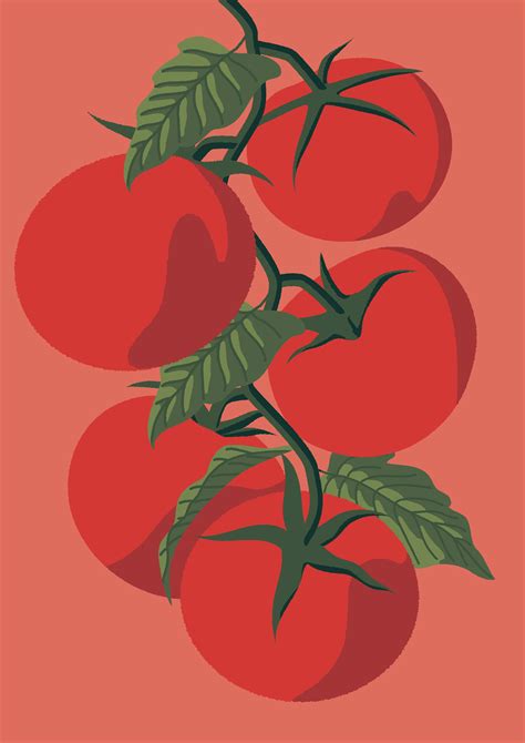 Heinz Ketchup. But first, tomato. on Behance