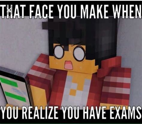 Aphmau meme for the day😂 (this picture is by "Dark aphmau memes") | Aphmau Amino