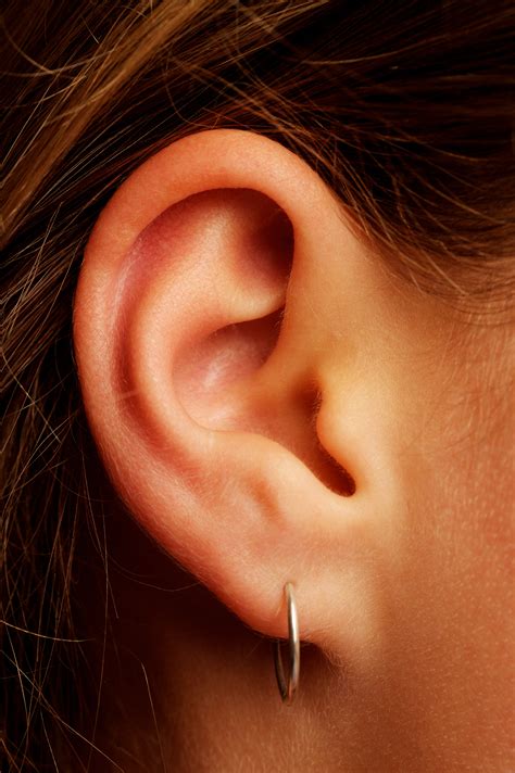 Infected Ear Piercing: What It Looks Like, Signs, And Treatment | lupon.gov.ph