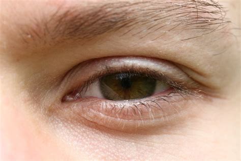 Eye macro Free Photo Download | FreeImages