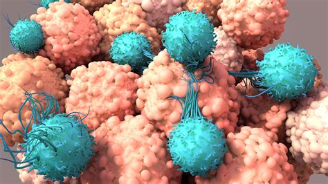 T cells and viruses, an unlikely duo, team up to kill tumors - Newz AI