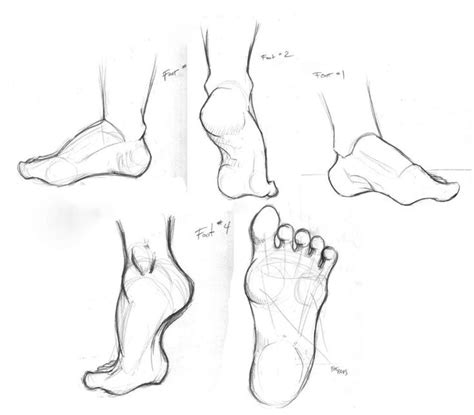 Foot Study by TwilightsDon on deviantART | Life drawing, Drawings, Art ...