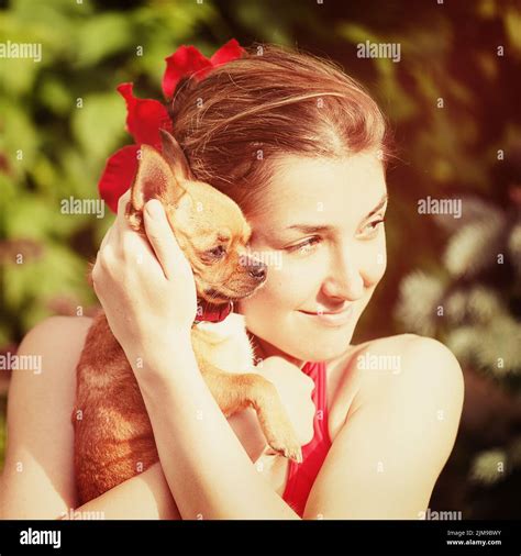Cute Girl and Her Chihuahua Dog on Nature Background Stock Photo - Alamy