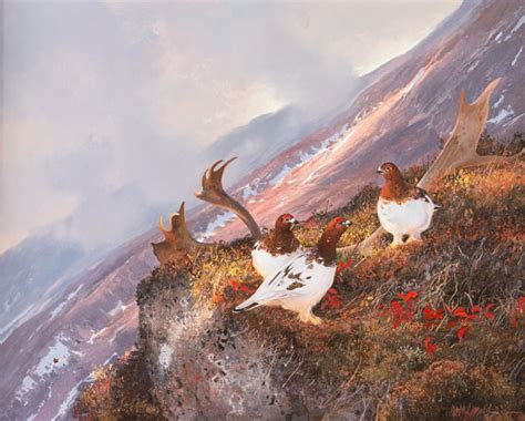 Willow Ptarmigan, Alaska Range – Out of Africa in Montana