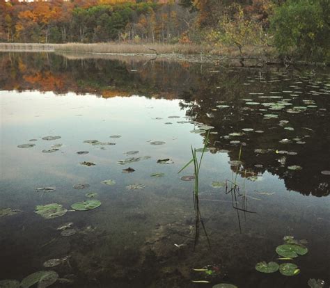 Wing Haven | ACRES Land Trust