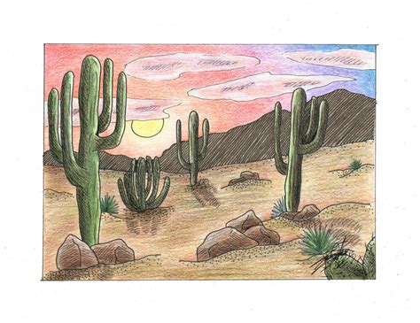 Desert Ecosystem Drawing at PaintingValley.com | Explore collection of Desert Ecosystem Drawing