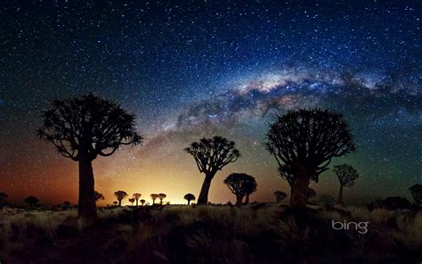 Milky Way, over the Quiver Tree Forest, Namibia - WindowsCenter.nl