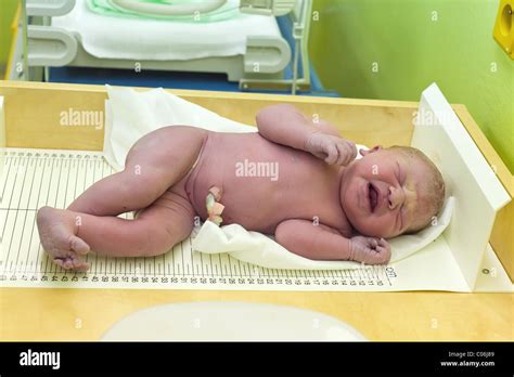 Newborn Baby Hospital After Delivery High Resolution Stock Photography and Images - Alamy