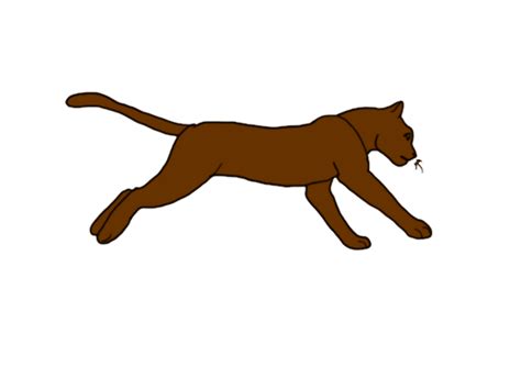 Cat Running Gif Transparent Background - lvandcola