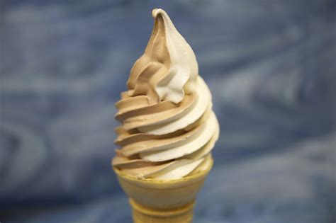 Chocolate Vanilla Swirl Soft Serve Ice Cream Delaware - Ice Cream Delight