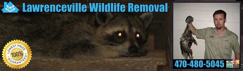 Berkeley Lake GA Pest Animal Wildlife Removal in Georgia