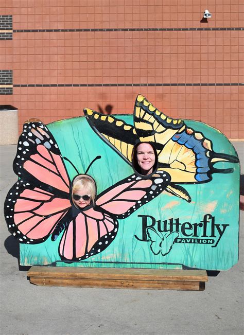 Educational Family Visit to the Denver Butterfly Pavilion | Create ...