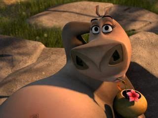 Gloria The Hippo | Gloria, Madagascar, Hippo